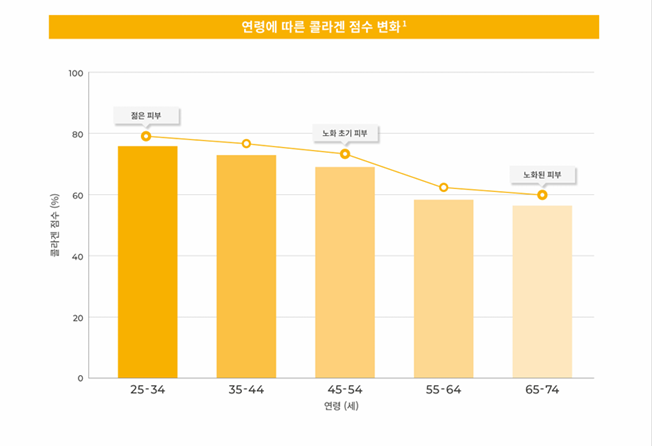 울쎄라피프라임 강의 | 리프톤 피부과 멀츠 사내 강의 진행 관련 이미지 6