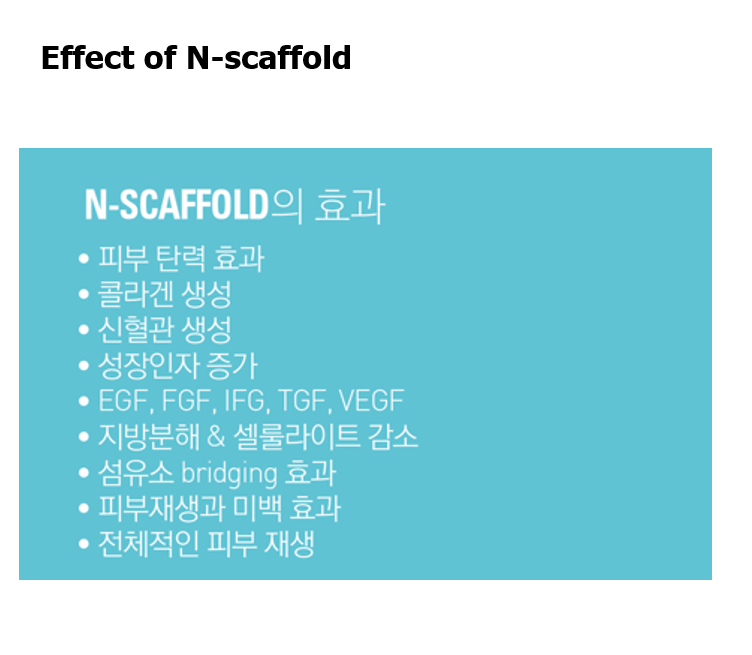 신사 팔자주름 N-Scaffold를 활용한 구조적 개선｜2025 PENTA-A 강연 후기 관련 이미지 13