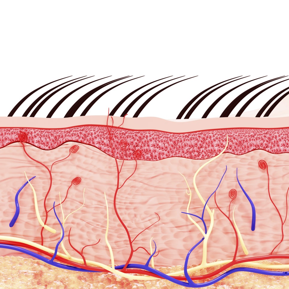 For Ultherapy Prime, precision targeting matters more than the number of shots. image 1