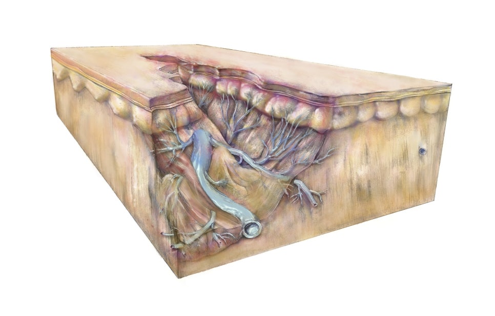 What Has Changed in the Effects and Pain of Ultherapy Prime? image 7