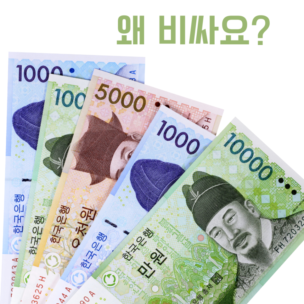 울쎄라 가격 대표원장이 직접 알려드립니다 관련 이미지 3