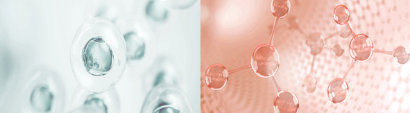 Rejuran vs. Lituo: What’s the Difference, and Which Procedure Is Right for My Skin? image 8