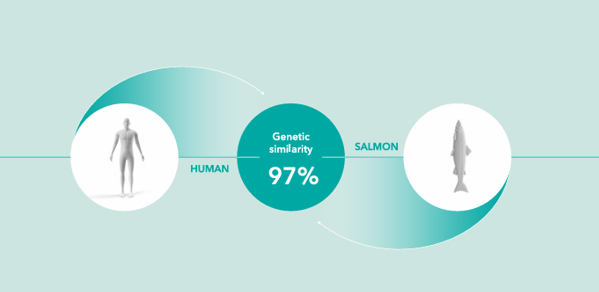 Rejuran vs. Lituo: What’s the Difference, and Which Procedure Is Right for My Skin? image 3