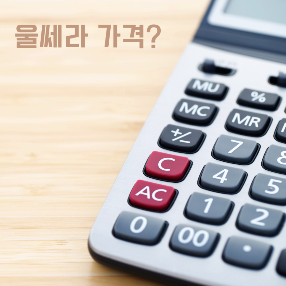 울쎄라 가격 대표원장이 직접 알려드립니다 관련 이미지 2