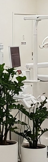 화곡역치과 치아가 빠진 개수만큼 임플란트를 심어야 될까? 관련 이미지 30