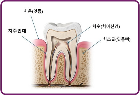 오목교 임플란트, 이갈이가 임플란트에 문제가 될 수 있나요? 관련 이미지 5