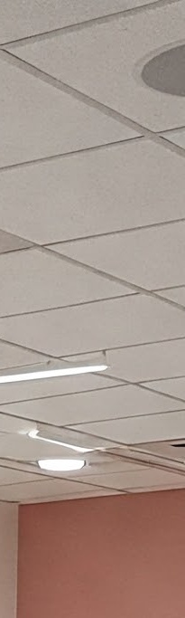 화곡역치과 치아가 빠진 개수만큼 임플란트를 심어야 될까? 관련 이미지 22