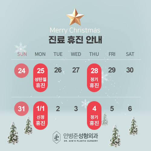 [안병준성형외과] 성탄절ㆍ신정 진료 휴진 안내 관련 이미지 1