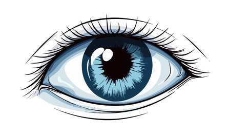 눈꺼풀 처짐,중앙부위에 지방이 없고 겹주름 수술사례 관련 이미지 1