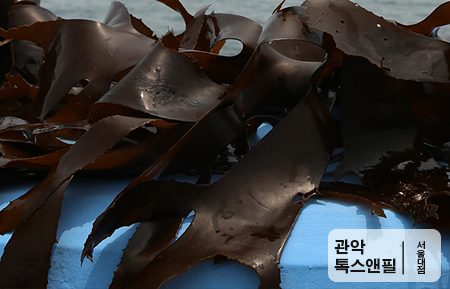 피부에 좋은 음식, 오늘부터 실천해 보아요 관련 이미지 6