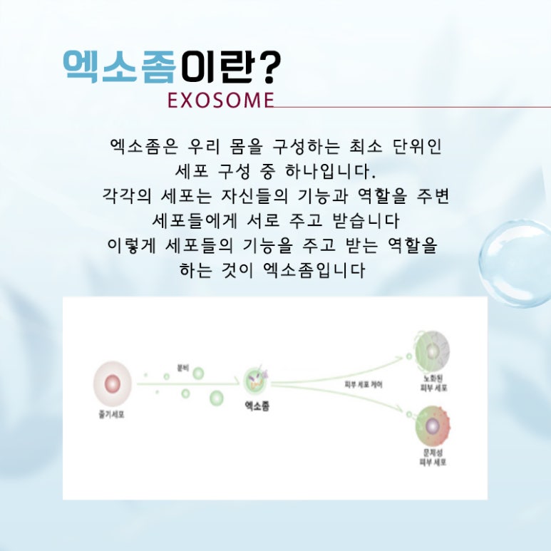 서울대입구 엑소좀주사란? 관련 이미지 4