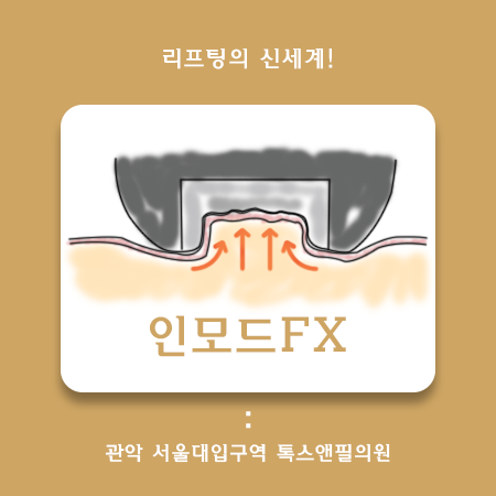 관악구인모드 피부탄력 속부터 차오르다 관련 이미지 1