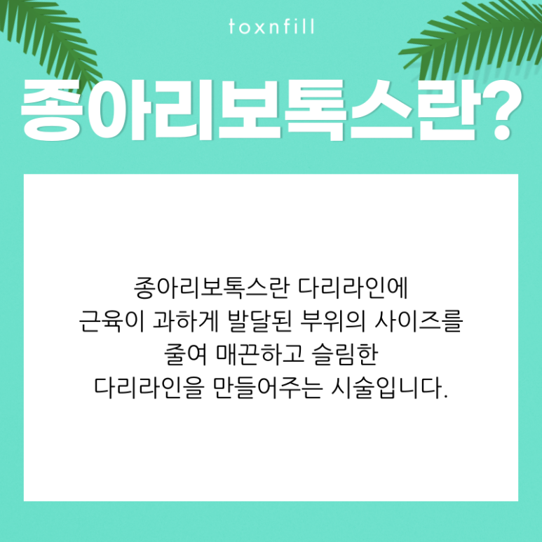 [톡스앤필 서울대점] 종아리알제거 완벽한 슬림다리라인을 위한 선택! 관련 이미지 2