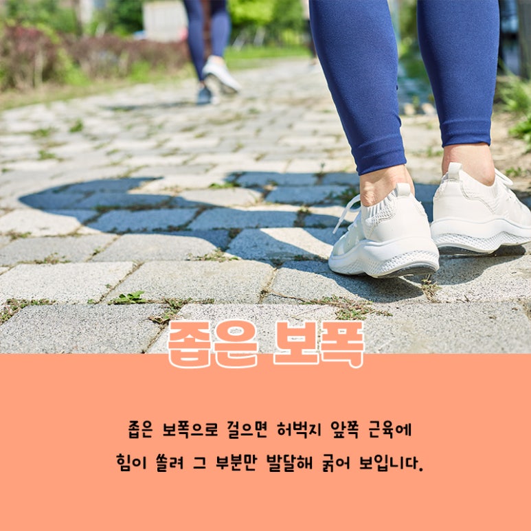 톡스앤필 서울대입구 하체 비만이 생기는 이유 관련 이미지 5