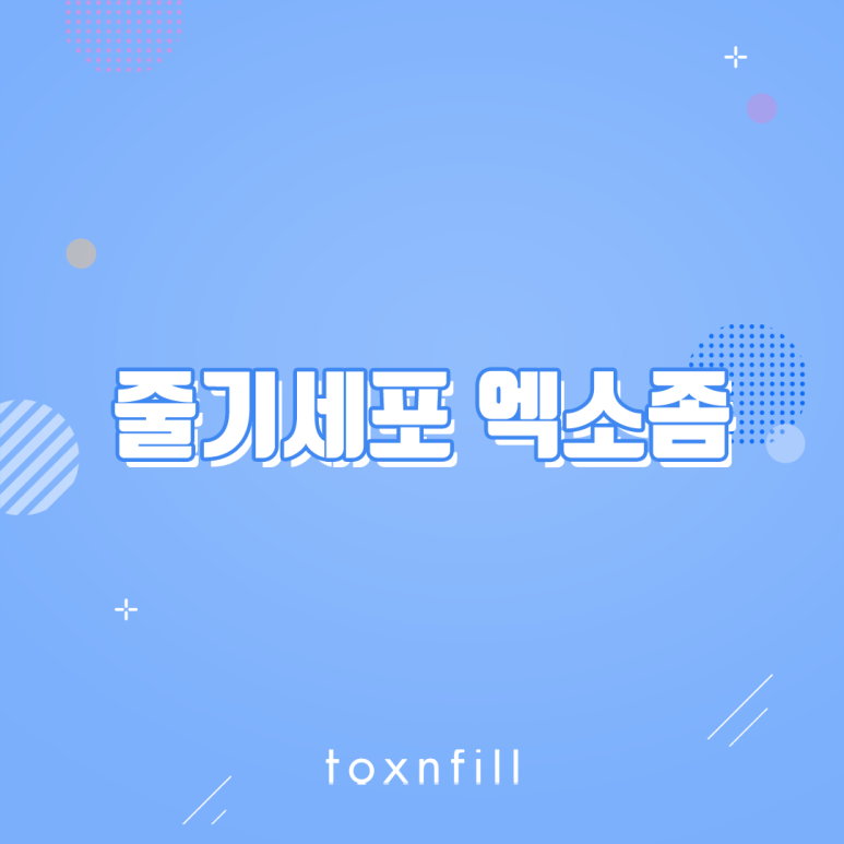 서울대입구역 트러블 개선 엑소좀 관련 이미지 1