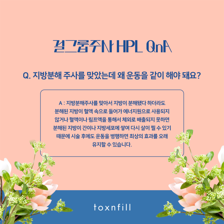 톡스앤필 걸그룹주사 HPL 관련 이미지 4