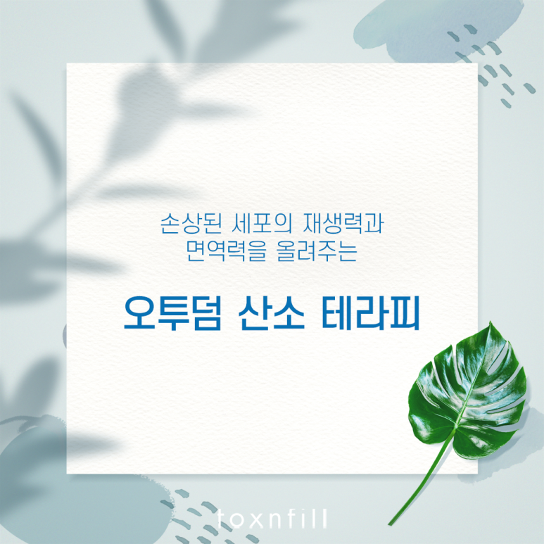 관악구 손상된 세포 재생 오투덤산소테라피 관련 이미지 1