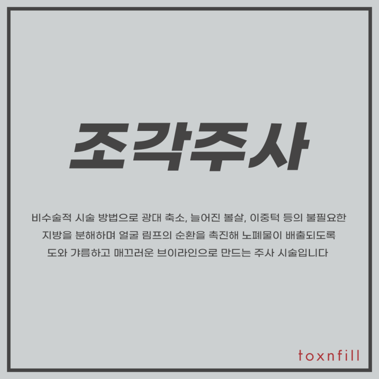 톡스앤필 이중턱 조각주사 관련 이미지 2