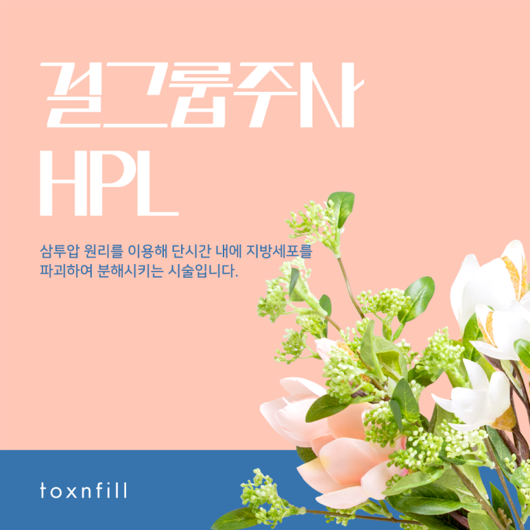 톡스앤필 걸그룹주사 HPL 관련 이미지 2