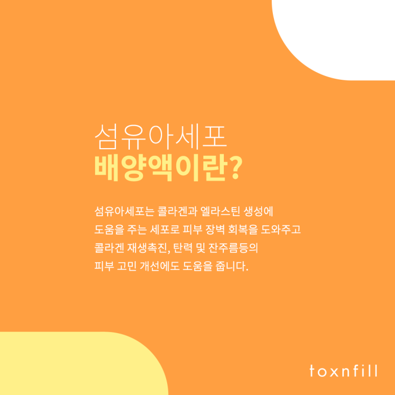 톡스앤필 큐티셀 블랙라벨 런칭 이벤트 관련 이미지 4