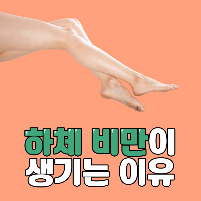 톡스앤필 서울대입구 하체 비만이 생기는 이유 관련 이미지 1