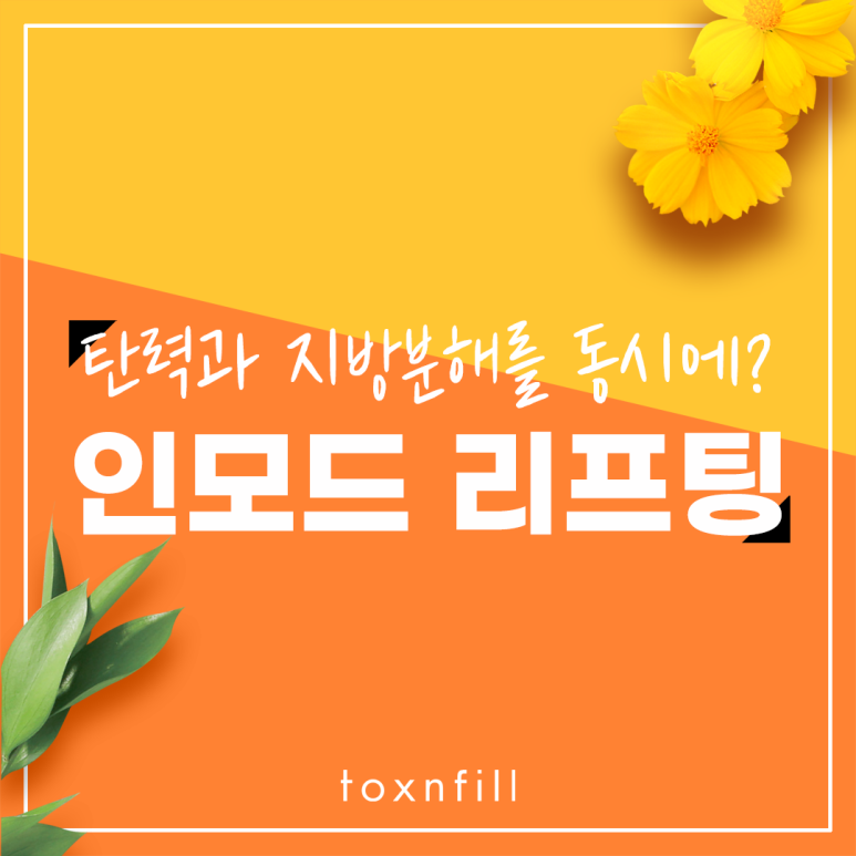 관악구 탄력과 지방분해를 동시에? 인모드 리프팅 관련 이미지 1