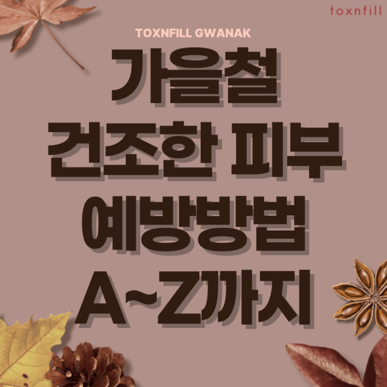 [톡스앤필서울대점]가을철피부관리 A~Z까지! 필수시술모음 관련 이미지 1