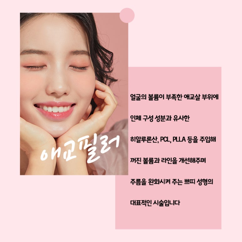 서울대입구 시그니처 프로그램 애교필러 관련 이미지 2