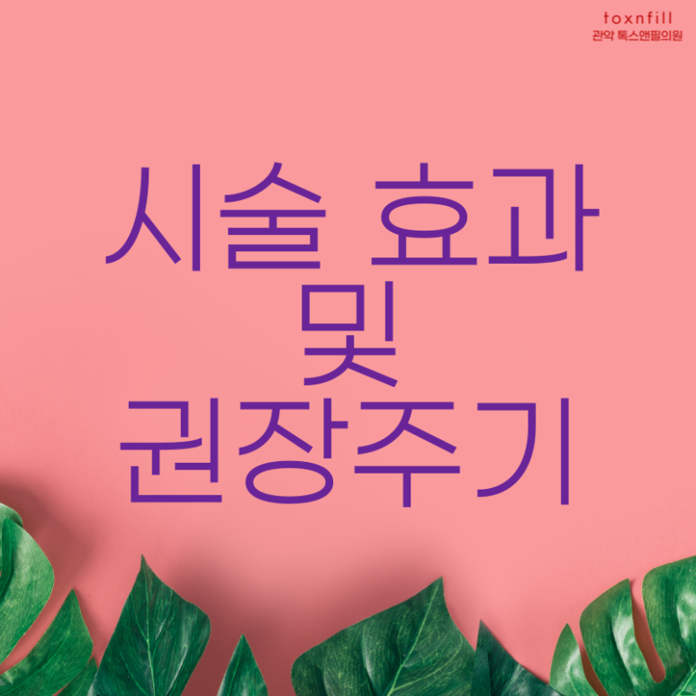 톡스앤필 서울대점만의 7월 한달간 혜택 이벤트!! 관련 이미지 3