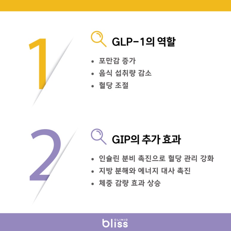 마운자로 드디어 한국 출시! 위고비와 뭐가 다를까? 관련 이미지 3