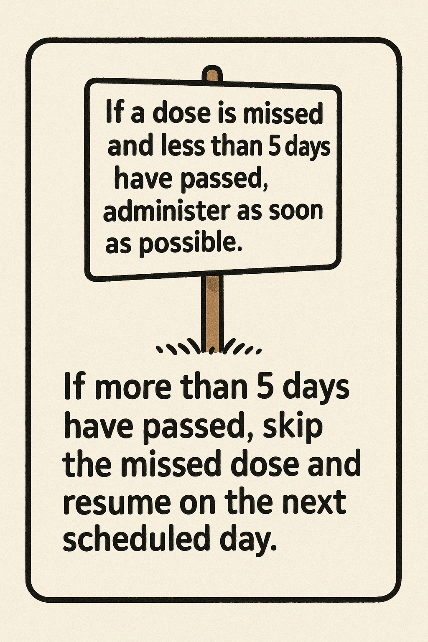 위고비, 무엇이든 물어보세요-진료실에서 자주 듣는 궁금증, 대신 정리해드려요(2) 관련 이미지 5