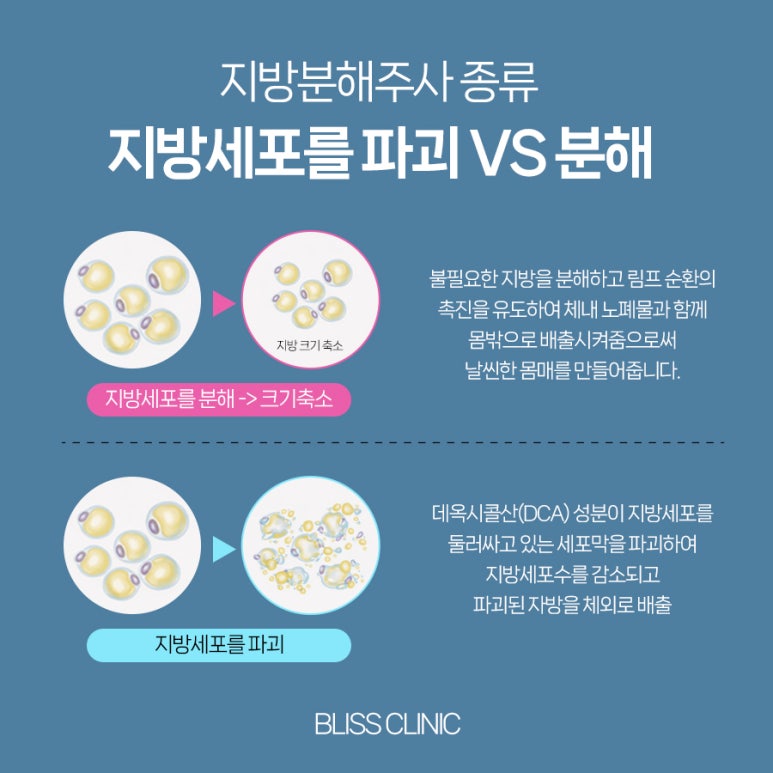 지방분해주사 효과 제대로 보기 위해서는 관련 이미지 5