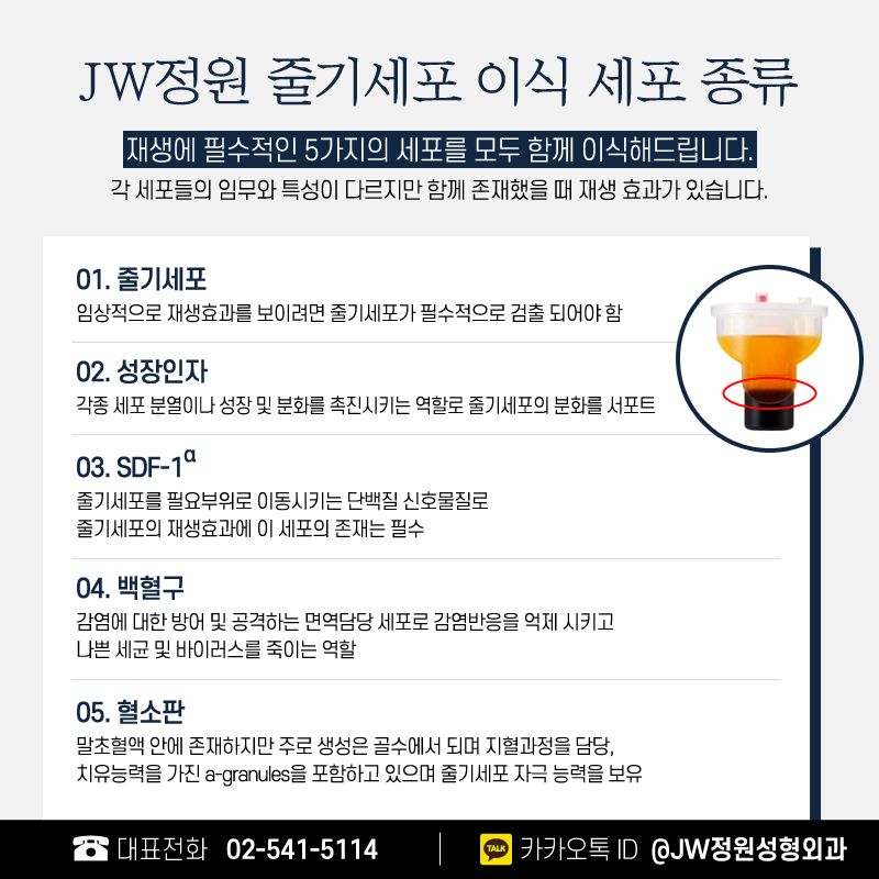 줄기세포주사 아름다웠던 시절로 돌아가다 【강남 JW정원성형외과】 관련 이미지 5