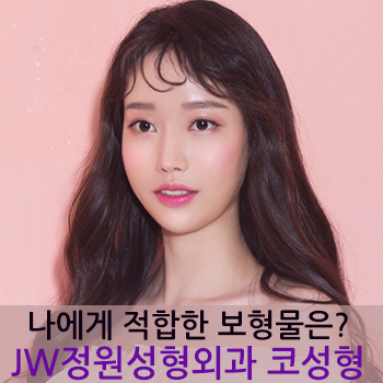 [JW정원성형외과] 코성형, 나에게 적합한 보형물은? 관련 이미지 1