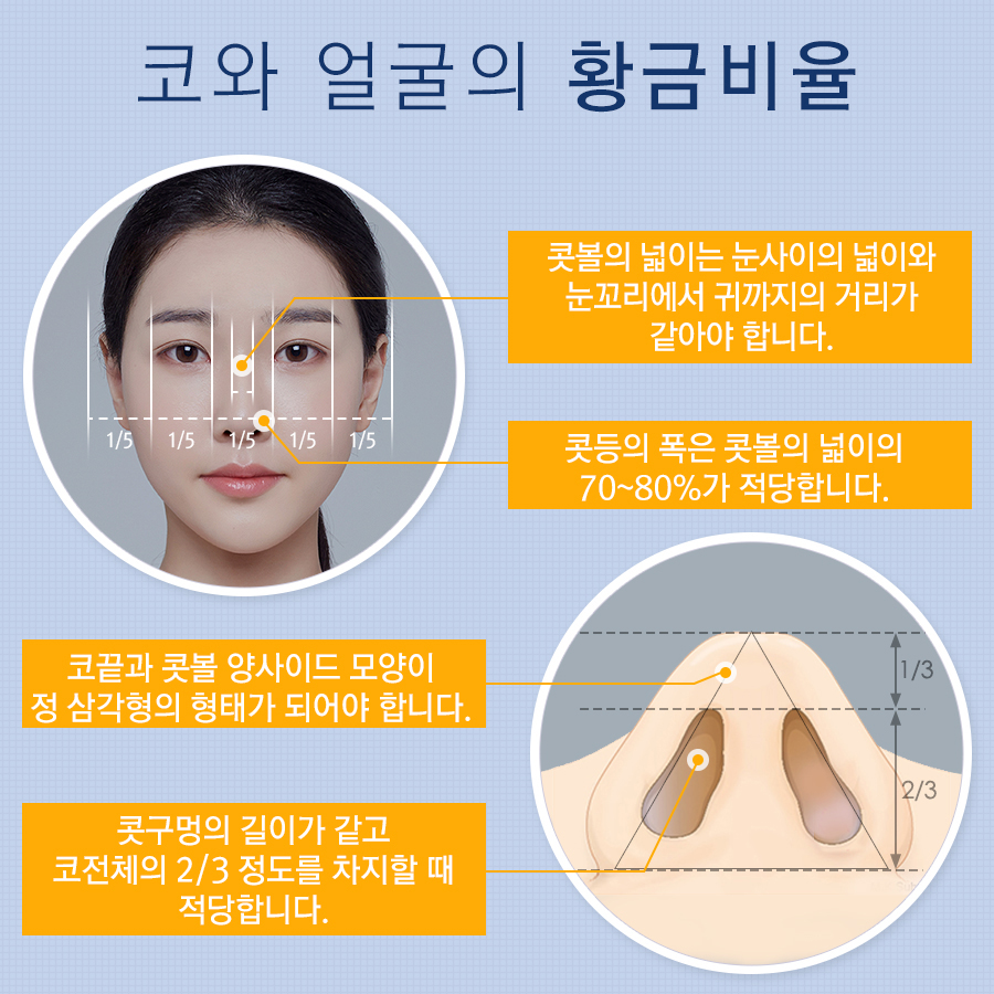 Nose Revision Surgery and Tip Plasty for a Soft, Flexible Pig Nose Look! image 2