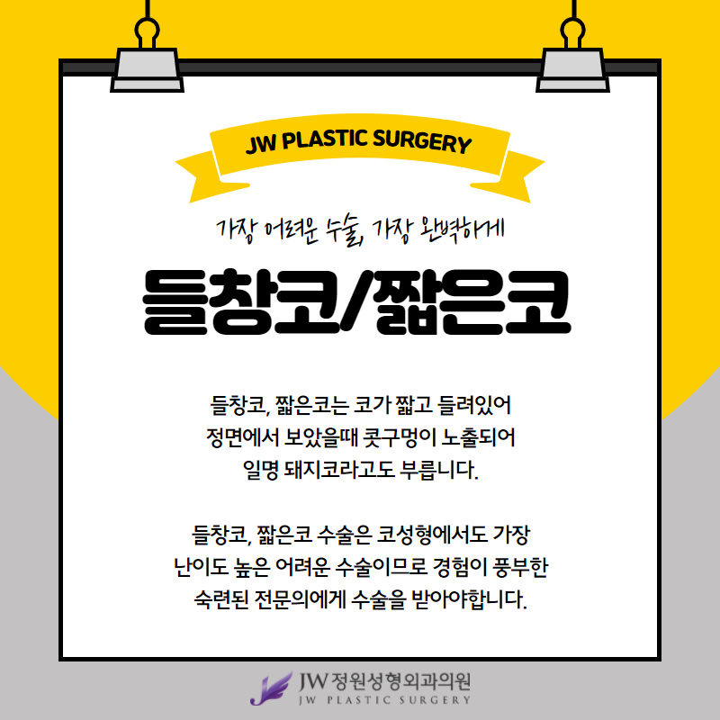 들창코수술 짧은코수술 [화려한 라인/자연스러운 라인] 내가 원하는 라인으로! 관련 이미지 2