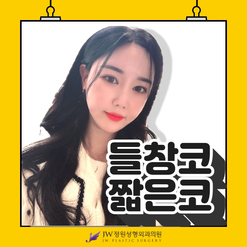 들창코수술 짧은코수술 [화려한 라인/자연스러운 라인] 내가 원하는 라인으로! 관련 이미지 1