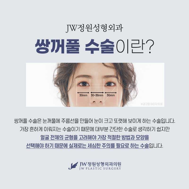 쌍수가격 합리적이지만 만족감은 높아 관련 이미지 2