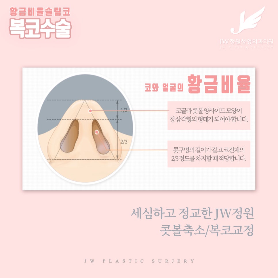 The Standard of Golden Ratio Bulbous Nose Surgery! JW Garden Plastic Surgery image 3