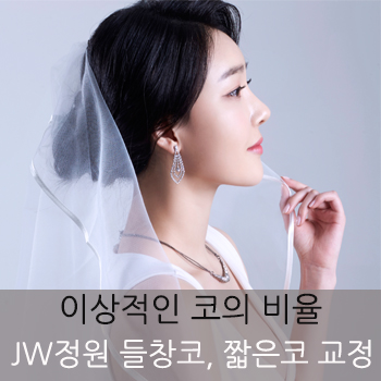 돼지코 탈출▷▶JW정원성형외과 들창코, 짧은코 교정 관련 이미지 8