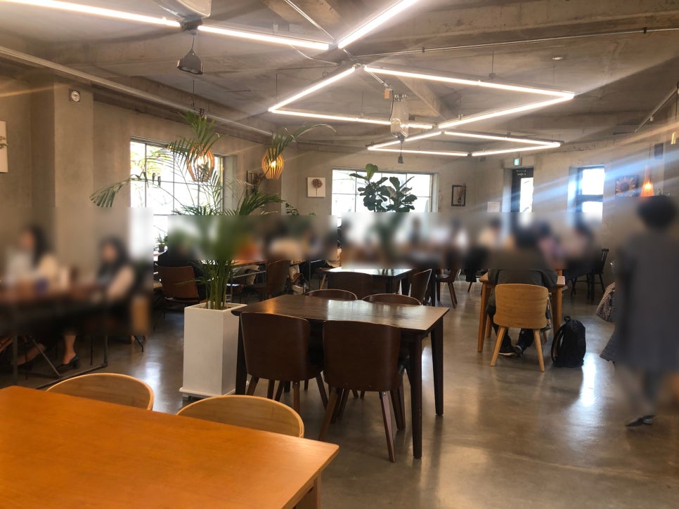[Gwangju Cafe] A Place with a Charming Birch Forest View: Honest Review of Cafe in Sinhyeon-ri in Gwangju, Gyeonggi-do image 4