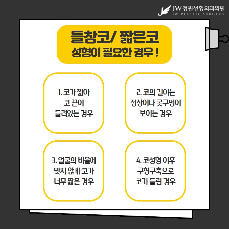 들창코수술 짧은코수술 [화려한 라인/자연스러운 라인] 내가 원하는 라인으로! 관련 이미지 4