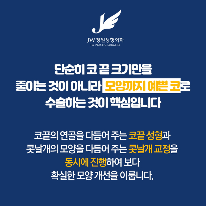 뭉툭하고 넓은 코끝을 콧볼축소 복코교정으로 세련되고 오똑하게! 관련 이미지 2