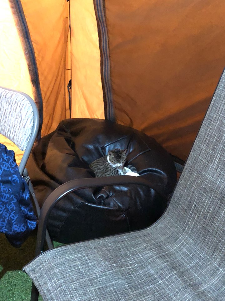 [Hanam Glamping] A BBQ Party Near Seoul, Day-Trip Glamping image 17