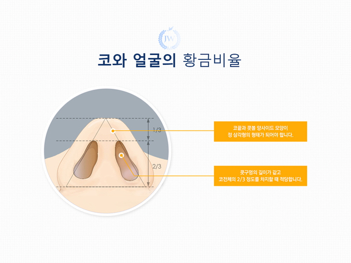 뭉툭하고 넓은 코끝을 콧볼축소 복코교정으로 세련되고 오똑하게! 관련 이미지 5