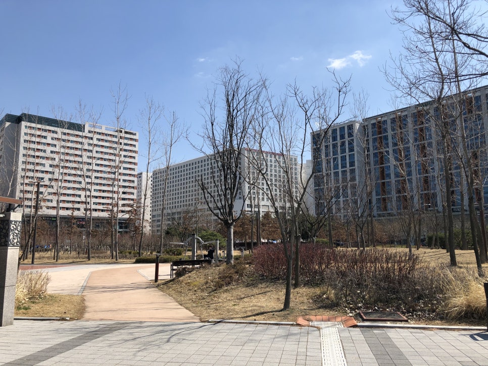 [문정동 맛집] 맛있는 초밥을 합리적인 가격으로 문정동 청담초밥 솔직 후기 관련 이미지 29