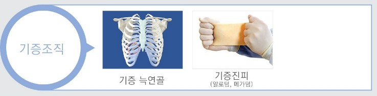 [JW정원성형외과] 코성형, 나에게 적합한 보형물은? 관련 이미지 5