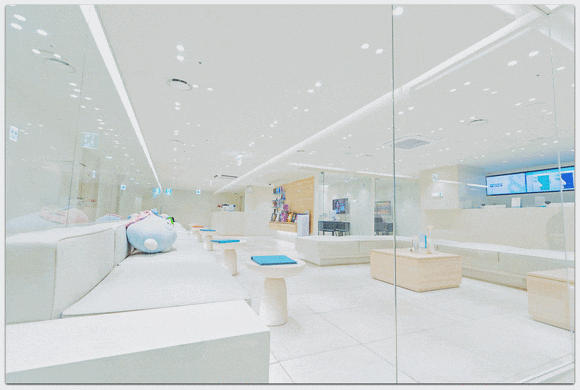 Seokchon Station Lifting: Is Shurink the Right Type for You? image 7