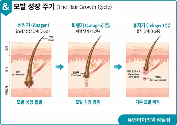 잠실 남자 제모, 효과와 통증 정도는? 관련 이미지 3