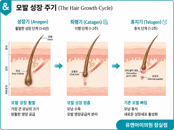 잠실 레이저제모 브라질리언 효과, 통증, 주의사항은? 관련 이미지 4